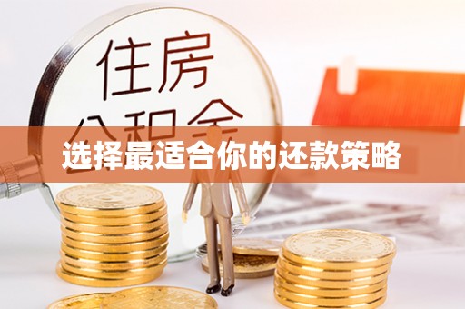 龙井选择最适合你的还款策略