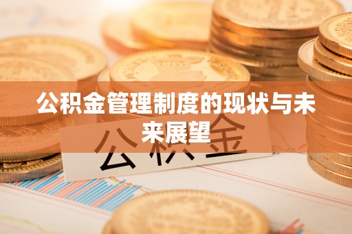 龙井公积金管理制度的现状与未来展望