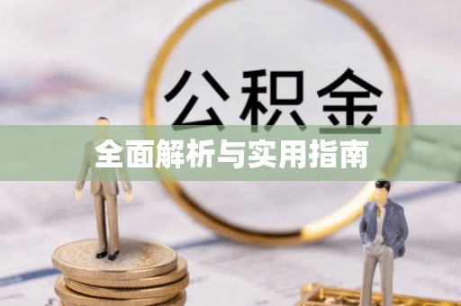 龙井全面解析与实用指南