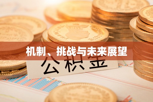 龙井机制、挑战与未来展望