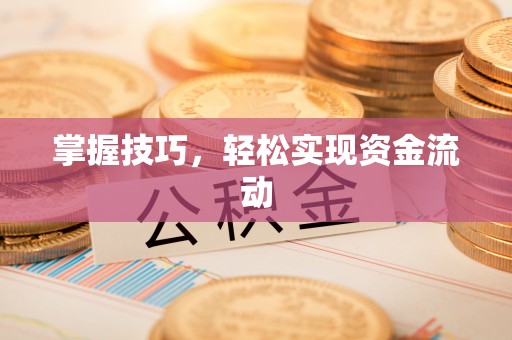 龙井掌握技巧，轻松实现资金流动