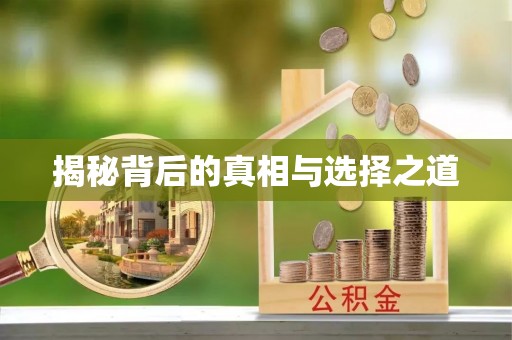 龙井揭秘背后的真相与选择之道