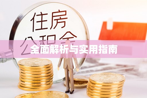 龙井全面解析与实用指南