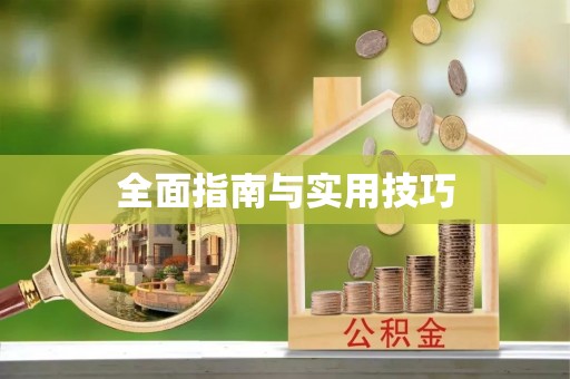 龙井全面指南与实用技巧