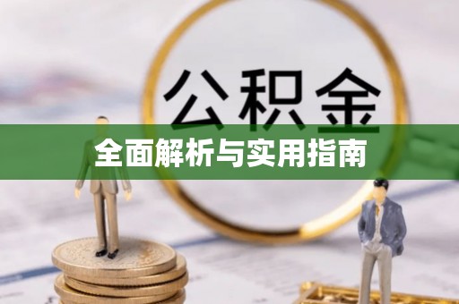 龙井全面解析与实用指南