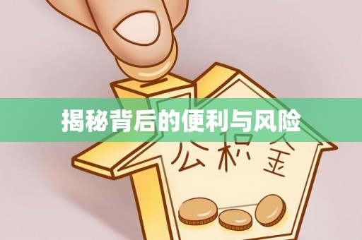 龙井揭秘背后的便利与风险